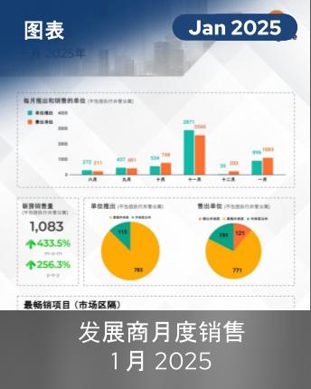 MDS Infographics January 2025 (Mandarin)
